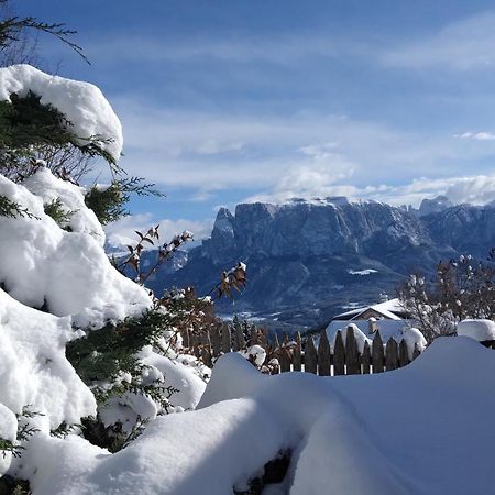 Oberpfaffstallerhof Collalbo Exteriér fotografie