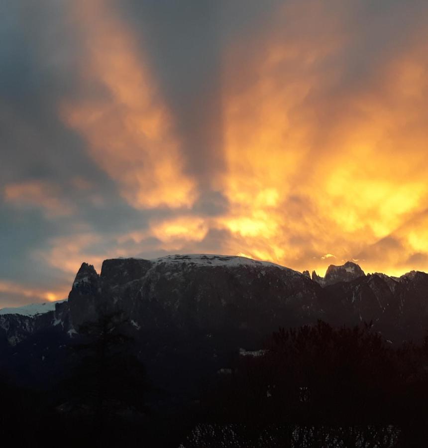 Oberpfaffstallerhof Collalbo Exteriér fotografie
