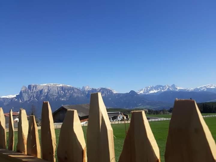 Oberpfaffstallerhof Collalbo Exteriér fotografie