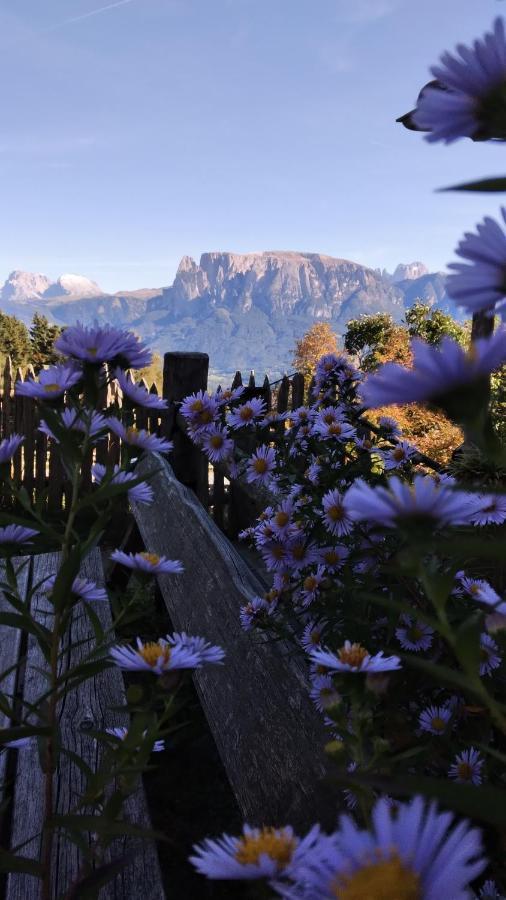 Oberpfaffstallerhof Collalbo Exteriér fotografie