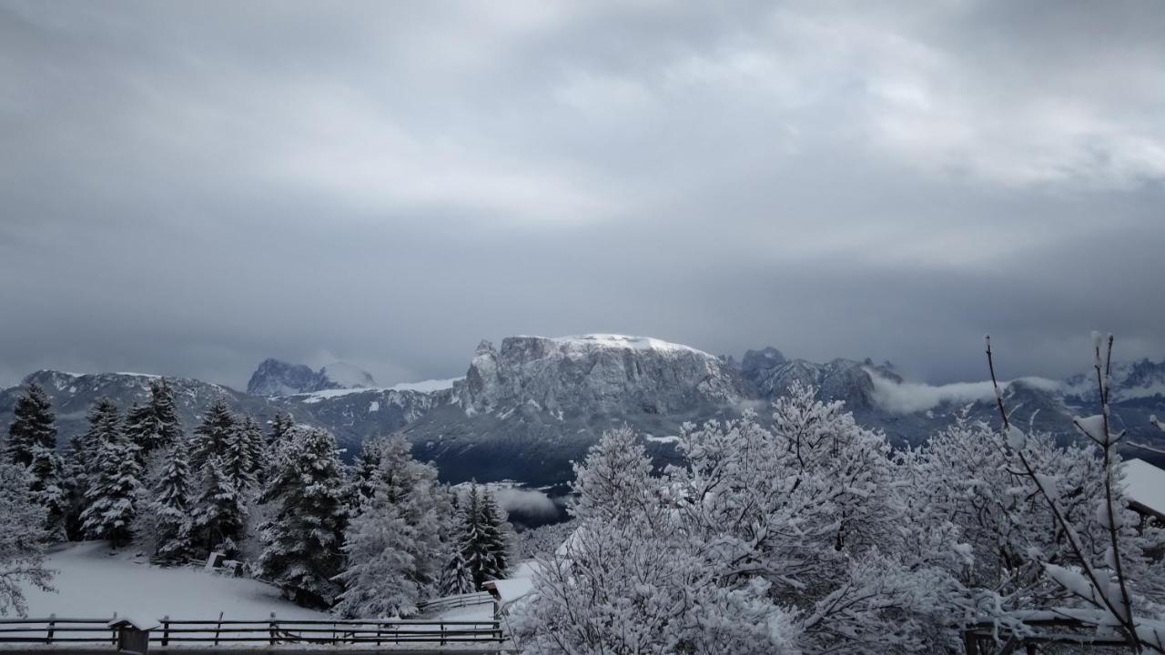 Oberpfaffstallerhof Collalbo Exteriér fotografie
