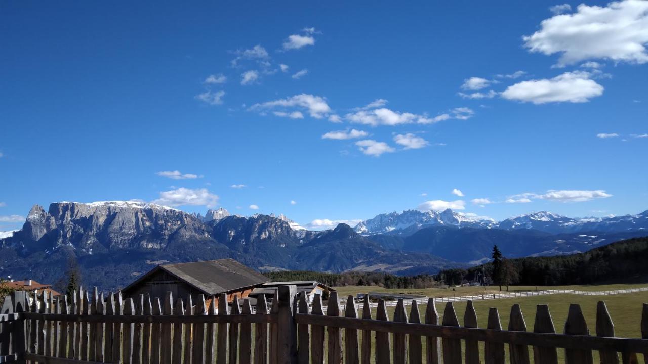 Oberpfaffstallerhof Collalbo Exteriér fotografie