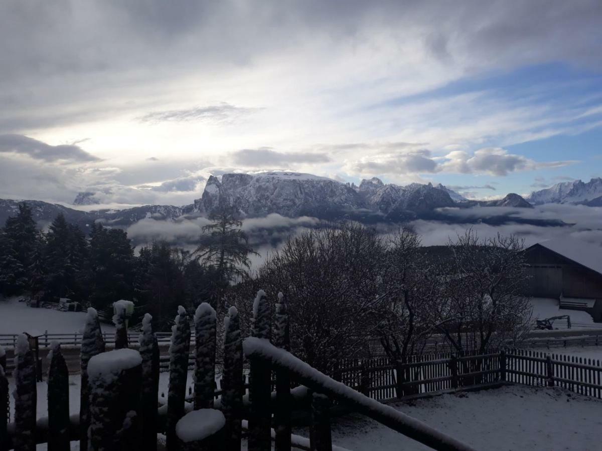 Oberpfaffstallerhof Collalbo Exteriér fotografie