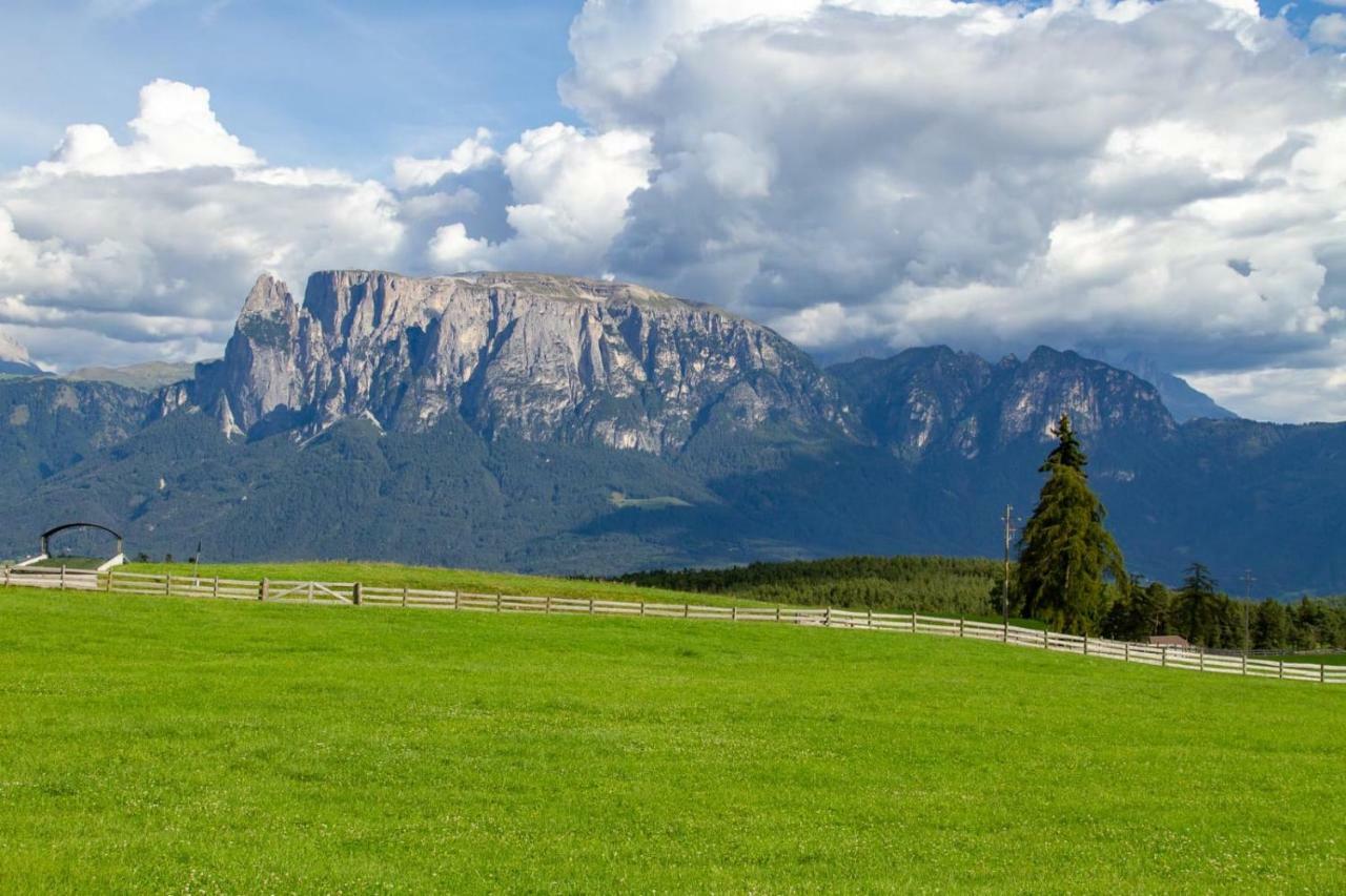 Oberpfaffstallerhof Collalbo Exteriér fotografie