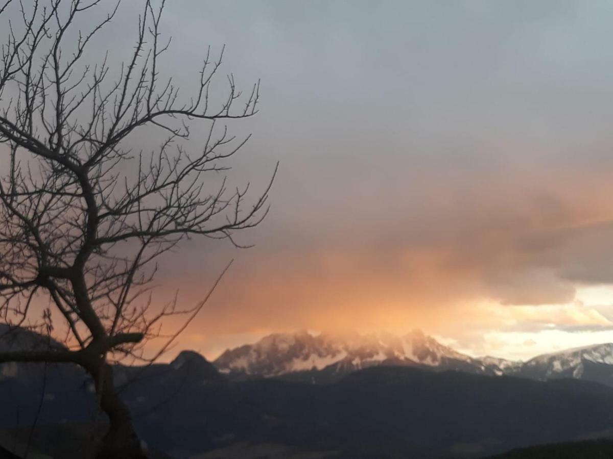 Oberpfaffstallerhof Collalbo Exteriér fotografie