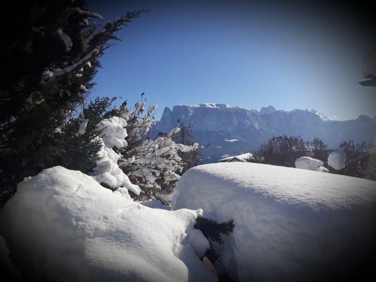 Oberpfaffstallerhof Collalbo Exteriér fotografie
